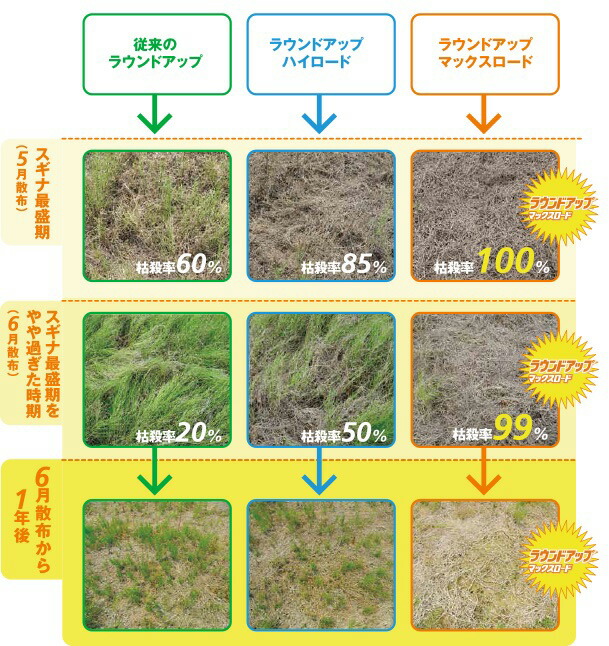 正規店仕入れの 日産化学 ラウンドアップマックスロード 5 5l 除草 除草剤 液剤 うすめて使う 雑草 便利 広範囲 日本産 Www Lexusoman Com