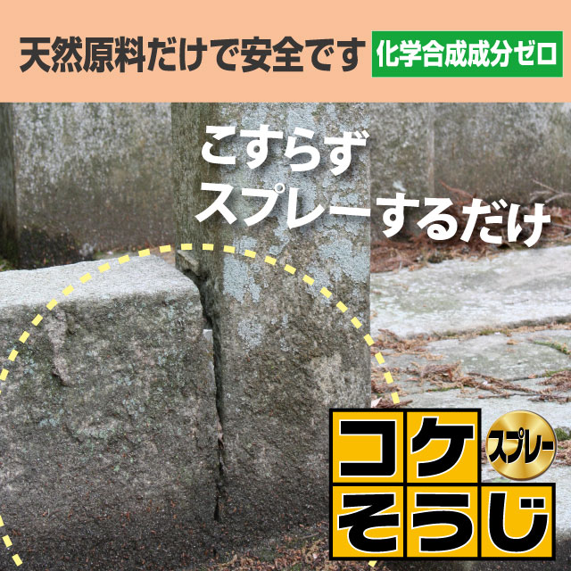 パネフリコケそうじ濃縮液500ml【イシクラゲコケ除草薄めて使う農作物便利】