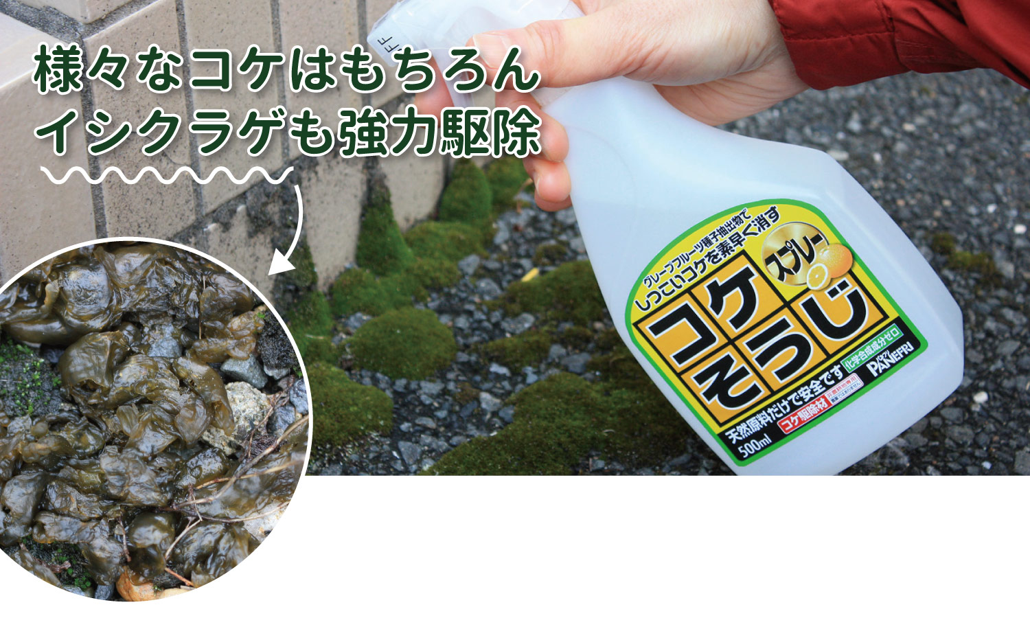 パネフリコケそうじ濃縮液500ml【イシクラゲコケ除草薄めて使う農作物便利】