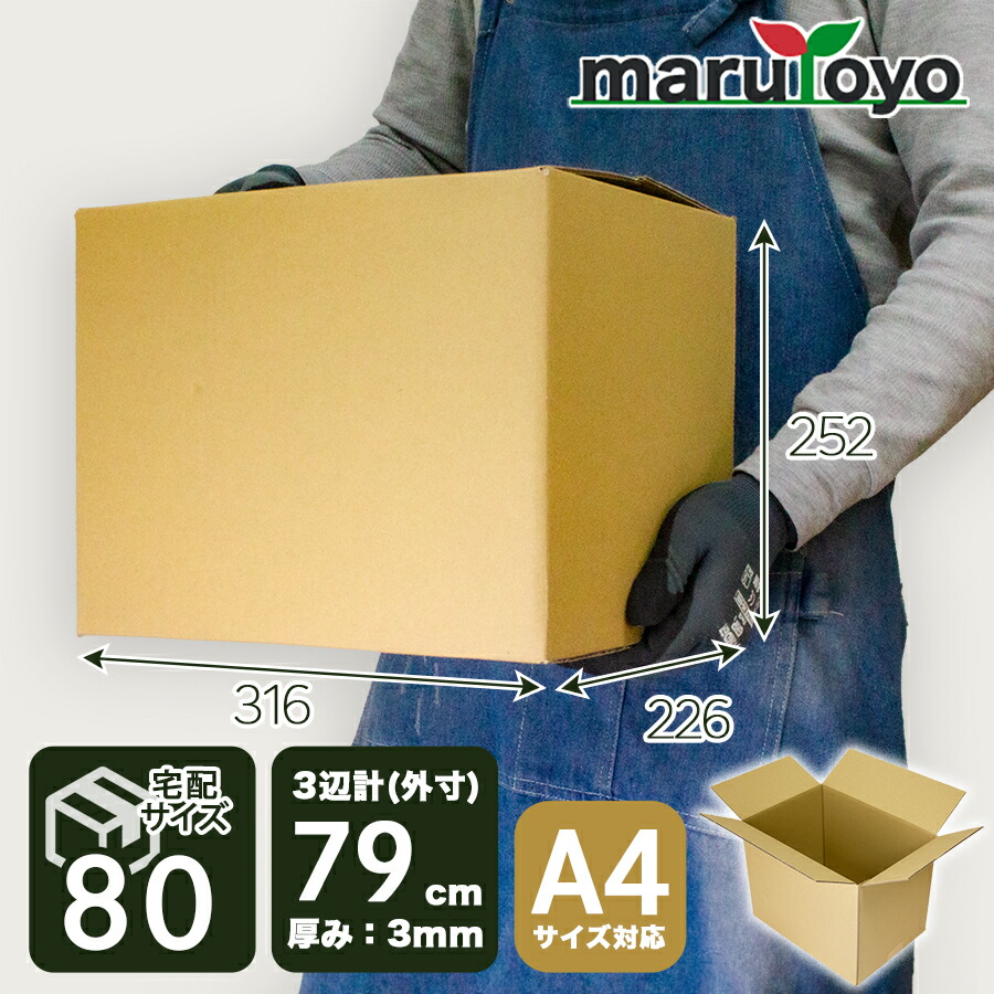 楽天市場】【エントリーでポイント10倍】ダンボール 100サイズ No.A-4 