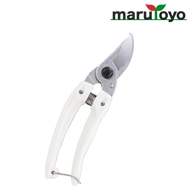 楽天市場】アルス ARS 摘果鋏 ロングタイプステンレス 300L-DX-BP