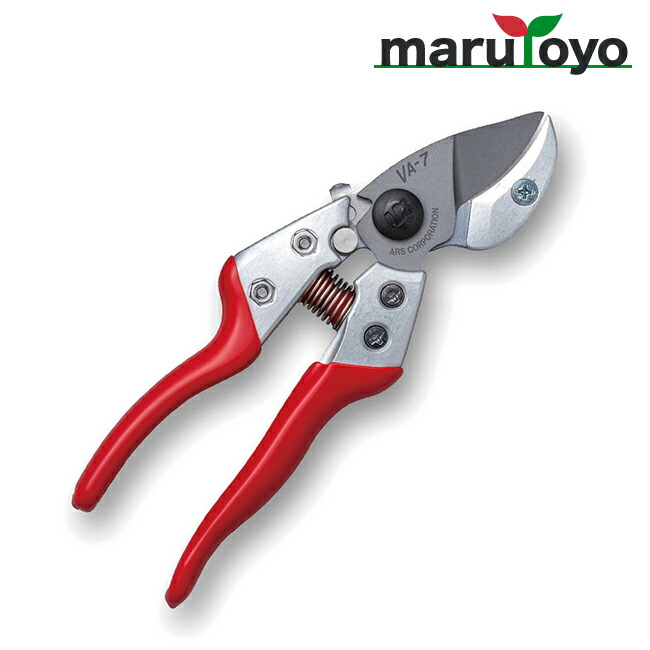 楽天市場】アルス ARS 摘果鋏 ロングタイプステンレス 300L-DX-BP