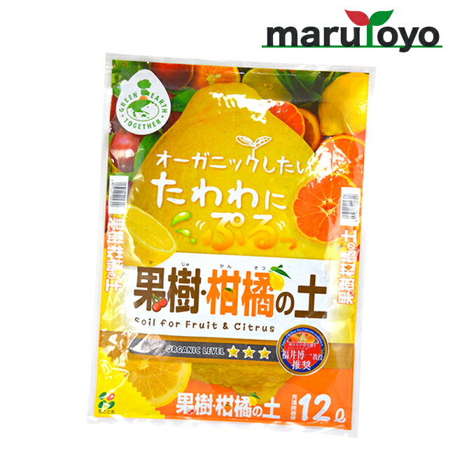 ルーチェ カル グロ ログ