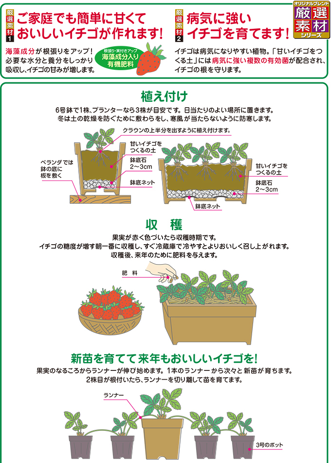 楽天市場 花ごころ 甘いイチゴをつくる土 5l 土 肥料 培養土 野菜 花 園joy Marutoyo