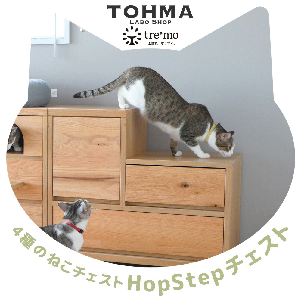 楽天市場】猫 ねこ ネコ 猫家具 チェスト ロー コンパクト 省