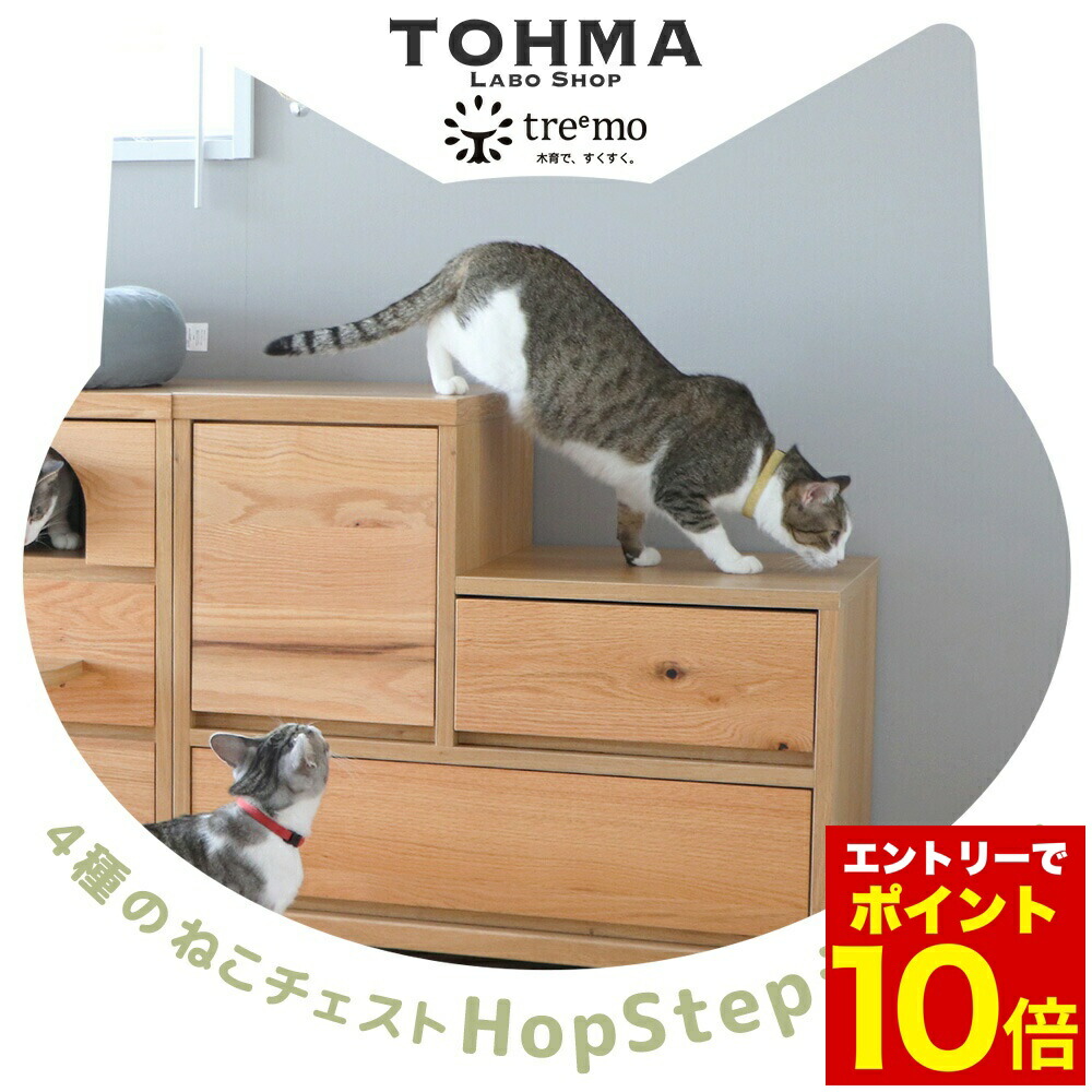 楽天市場】猫 ねこ ネコ 猫家具 チェスト ロー コンパクト 省スペース