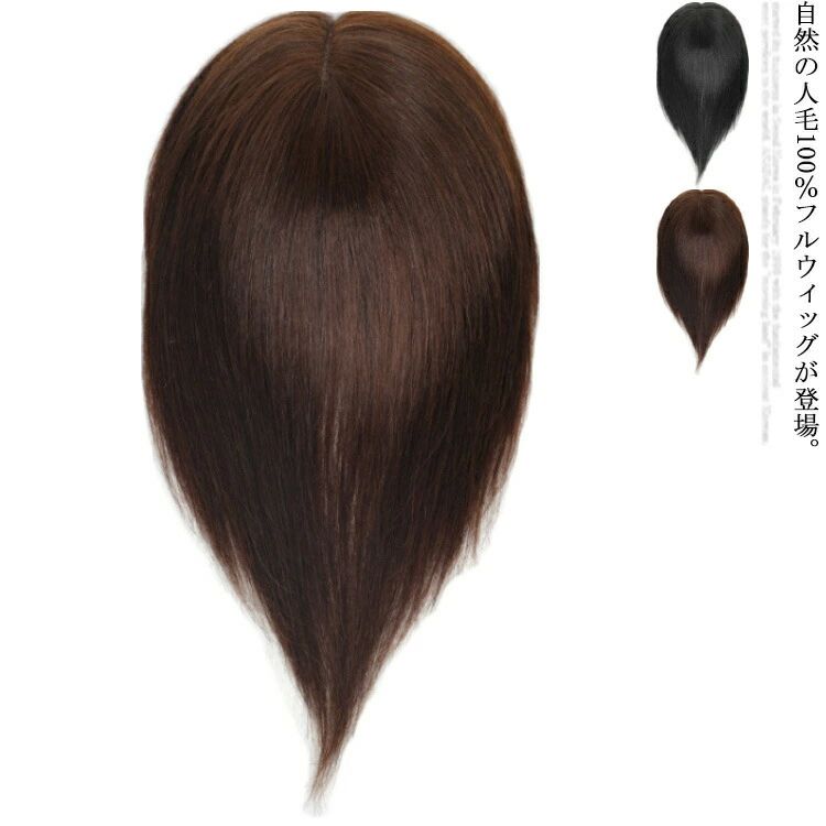 ウィッグ フルウィッグ 人毛100% 医療用ウィッグ ストレートウィッグ 自然 医療用 かつら 女性用 かつら 黒髪 ブラウン髪 送料無料 ショート ミディアムヘア セミロングウィッグ 薄毛 脱毛症 白髪隠し|エンジョイ工房