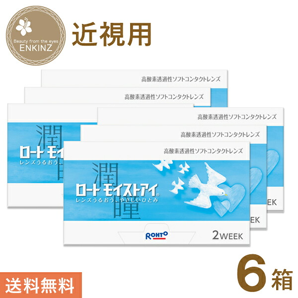 ロート モイストアイ 2ウィーク 6枚×6箱 ロート ROHTO 送料無料 ポスト投函商品