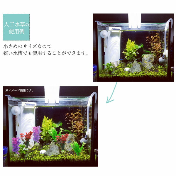 楽天市場 人工水草 1袋2個入り Sサイズ アクアリウム 熱帯魚 水槽 カラフル 円網堂
