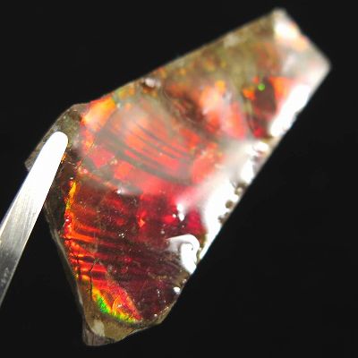 楽天市場】アンモナイト化石 レッドファイヤー 400g 化石 天然石