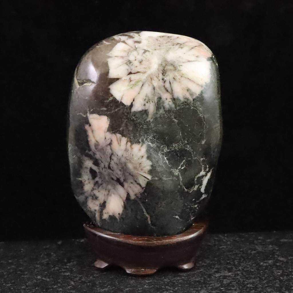 岐阜県根尾谷産　天然菊花石　(おまけつき) 菊花石 岐阜県根尾谷産1,7㌔ 鑑賞石 観賞石 水石 盆石 天然石