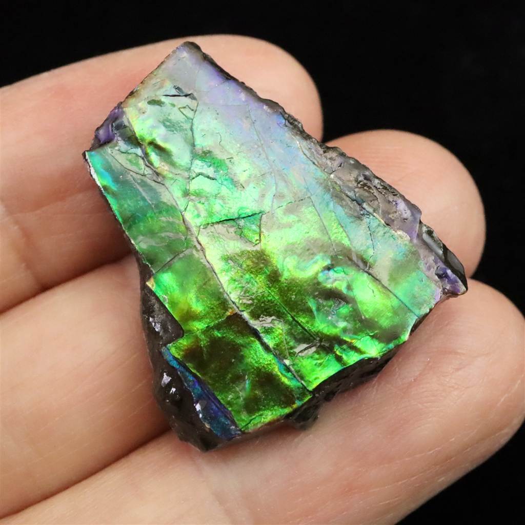 レッドファイヤーアンモナイト 天然石 パワーストーン レッドファイヤーアンモナイト 天然石 パワーストーン