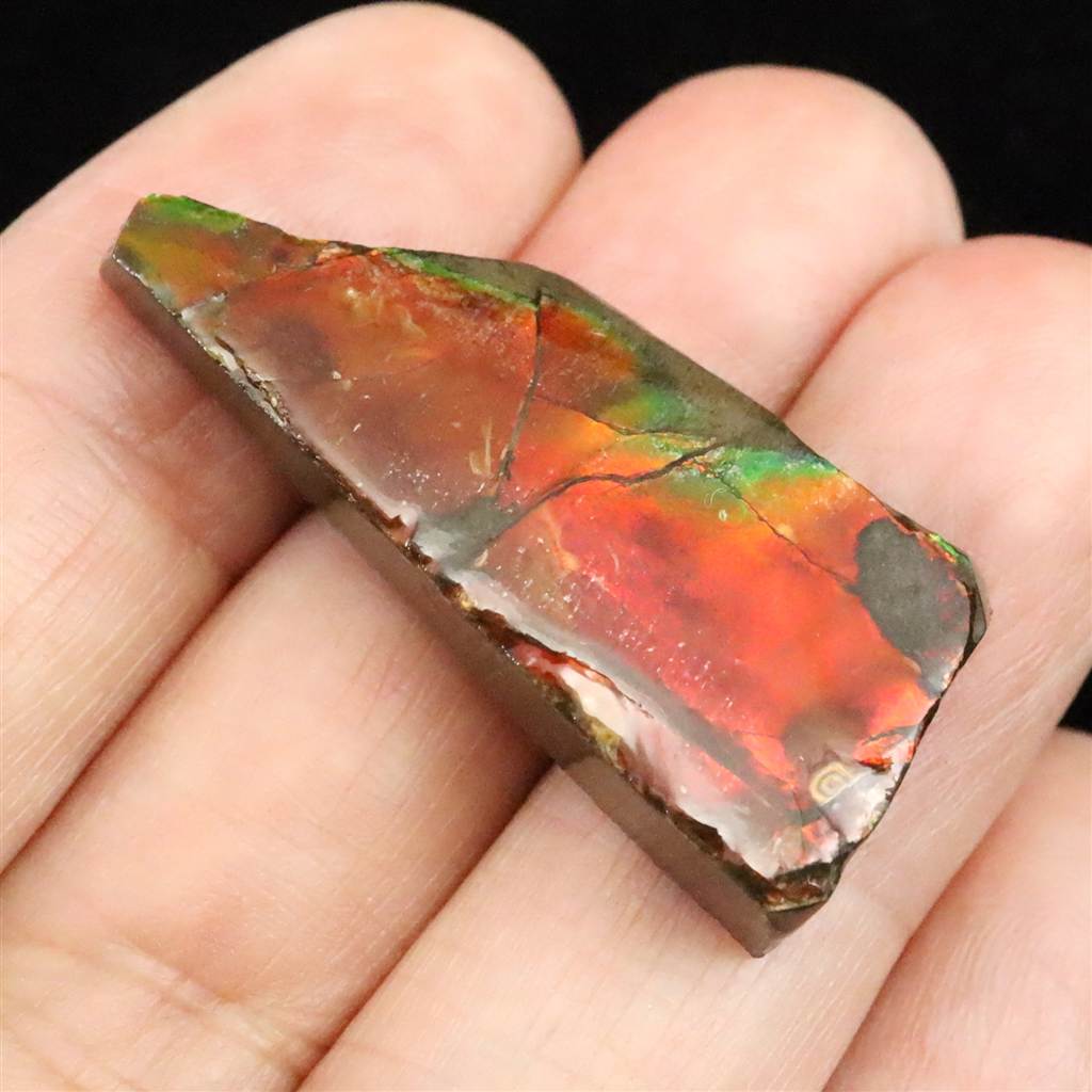 楽天市場】アンモナイト化石 レッドファイヤー 400g 化石 天然石