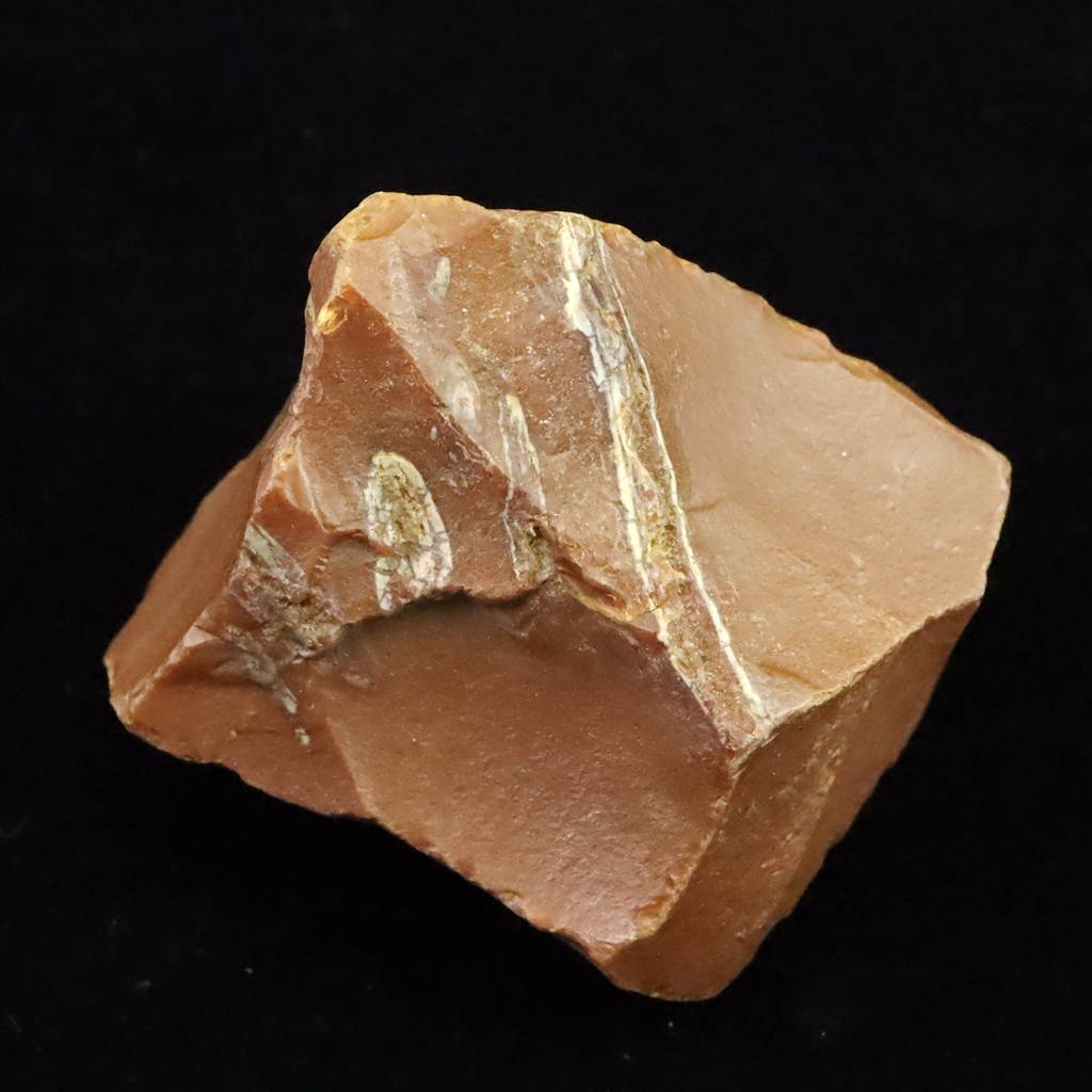 北海道幌加内町　ペトリファイドウッド 珪化木 45mm原石 73.6g