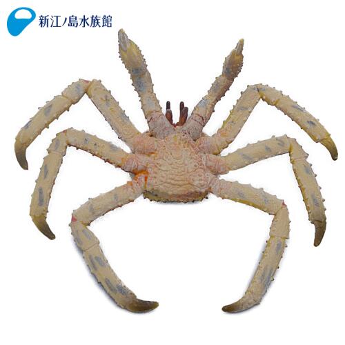 楽天市場 コレクタ キングクラブ Collecta カニ フィギュア 置物 コレクション 雑貨 グッズ おもちゃ 海の生き物 動物 インテリア リアル 新江ノ島水族館 えのすい 人気 おすすめ おみやげ 新江ノ島水族館オンラインショップ 楽天市場 コレクタ キングクラブ Collecta カニ フィギュア 置物 コレクション 雑貨 グッズ おもちゃ 海の生き物 動物 インテリア リアル 新江ノ島水族館 えのすい 人気 おすすめ おみやげ 新江ノ島水族館オンラインショップ