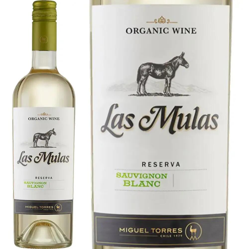 ボジョレー　エノテカ　ジルドラモア　beaujolais 2024年　8本 0208400903c4.jpg