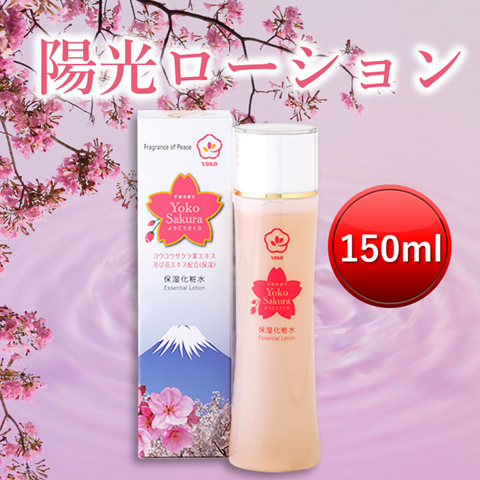 百貨店SALE特設