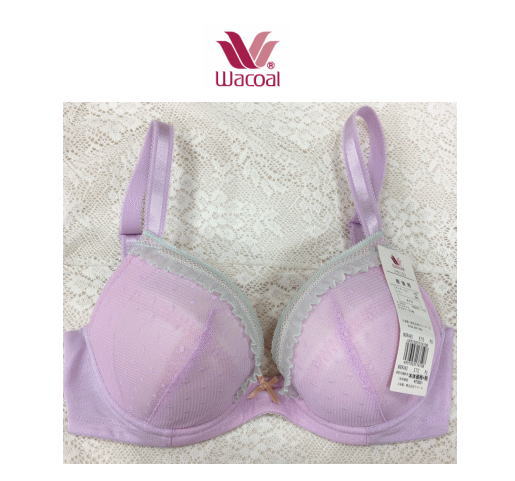 ワコール 産後専用 ブラ/E70 昇降機引き上げる/好いたらしいな乳ぶさ伝達ルート/含ませるカンなし印字機/