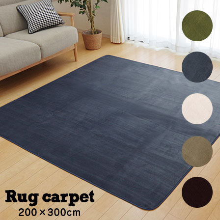 洗える 抗菌 防臭 ラグ カーペット ピオニー 4畳 約200×300cm （ホットカーペット対応） 長方形 ラグマット マット 絨毯 洗える ウォッシャブル 洗濯 オールシーズン ふわふわ ふかふか 無地 滑り止め 床暖房 夏用 塩系 カフェ風 北欧 アジアン おしゃれ