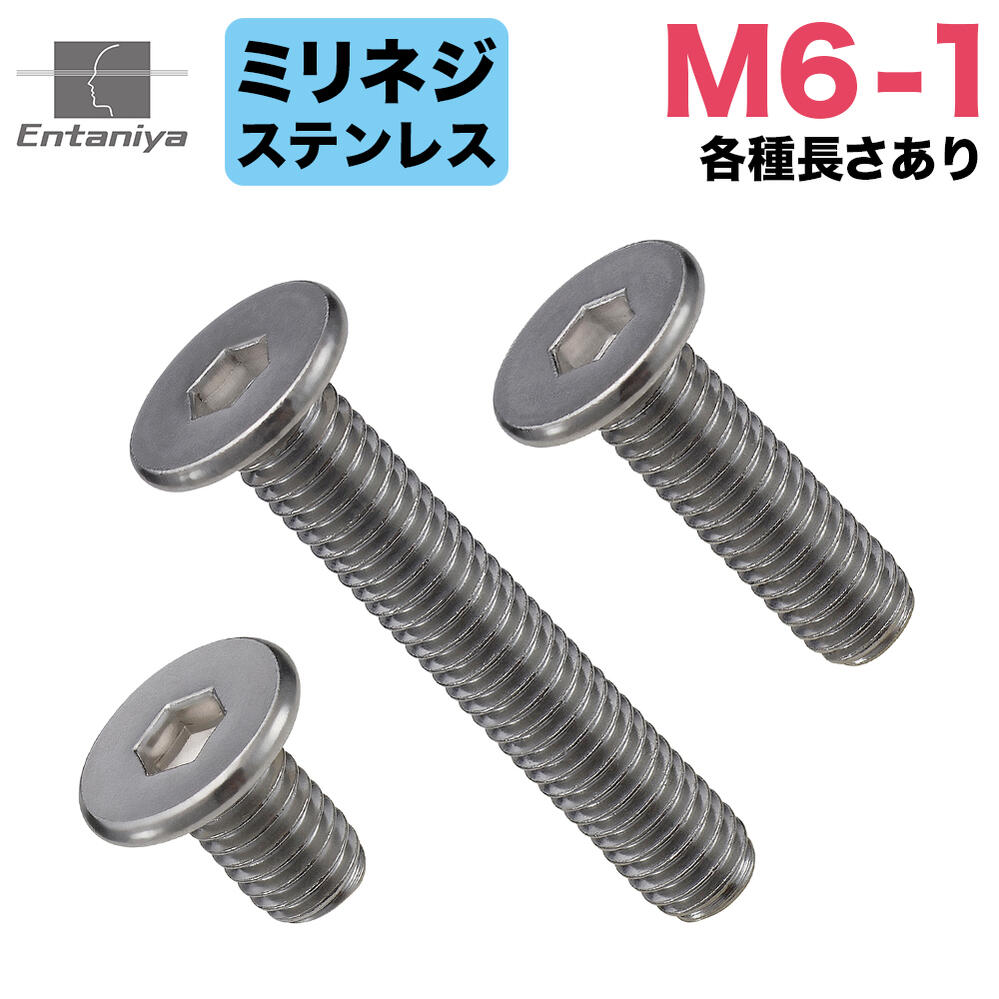 【楽天市場】Entaniya ミリネジ 六角穴付き極低頭ネジ M6-1 長さ違いあり (2本入り) 【MULCS-M6-1】(長さ：6mm ...