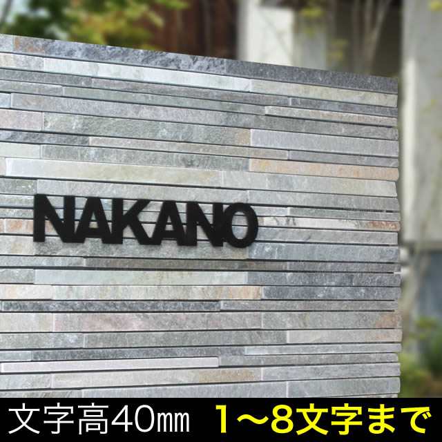 選べる書体 表札 ステンレス サイン 切り文字 レタリオ おしゃれ ローマ字 ネームプレート TNG40-8 文字高約40mm ※1～8文字まで
