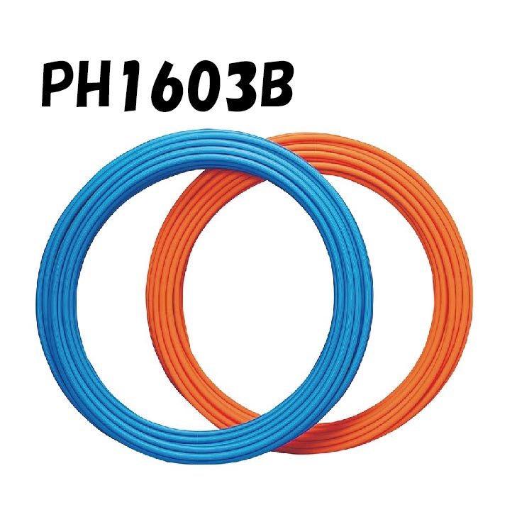 ph1603b.jpg