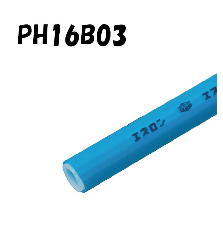 ph16b03.jpg