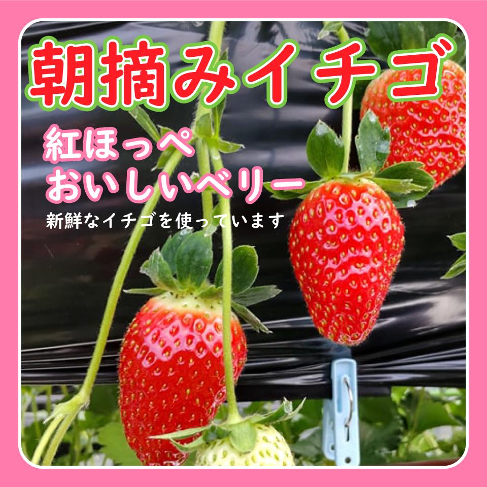誕生日ケーキ バースデーケーキ 22 お取り寄せ お菓子工房アントレ ゴールデンウイーク ショートケーキ バースデー ホールケーキ 入学 卒業 子供の日 母の日 誕生日 激安 激安特価 送料無料 ホールケーキ
