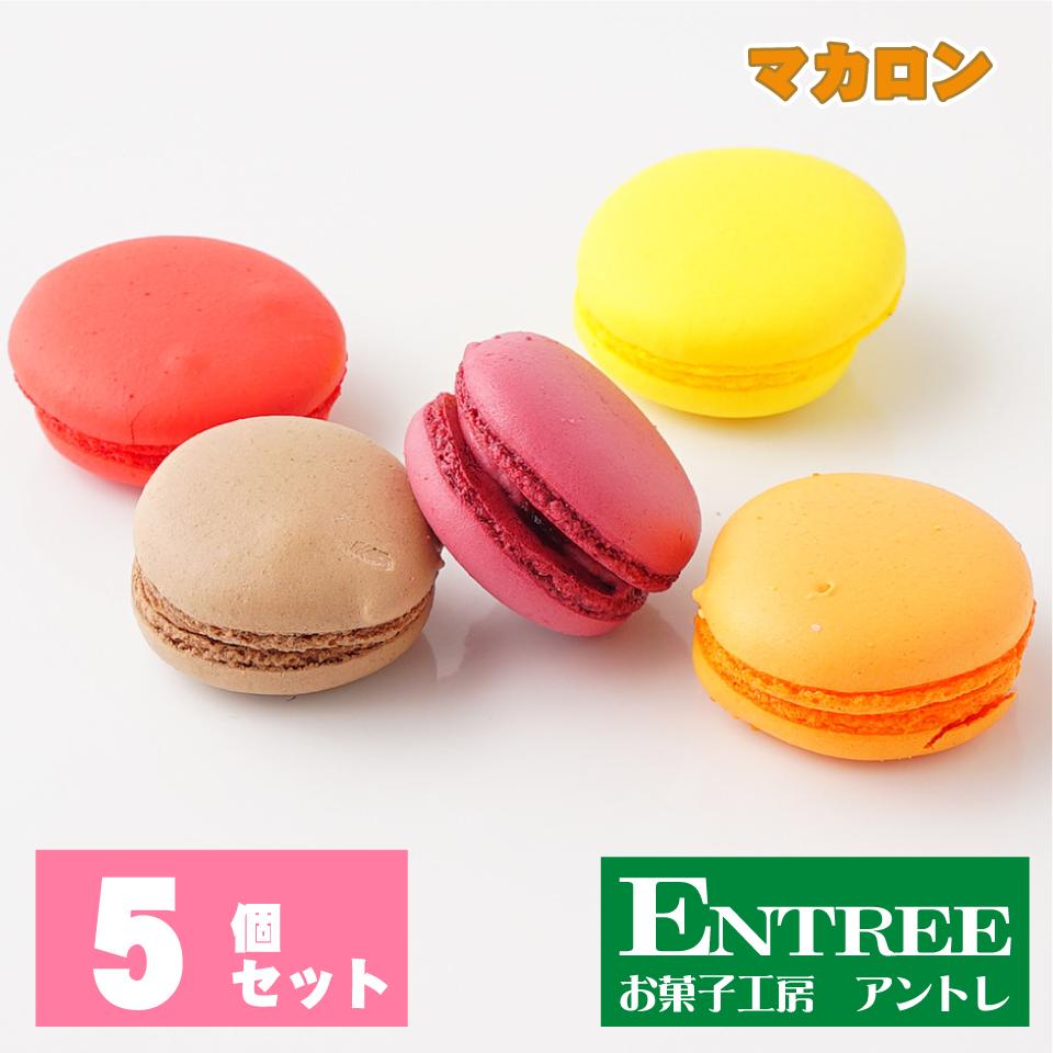 楽天市場】【マカロン10個セット】 お中元 お歳暮 お彼岸 お菓子