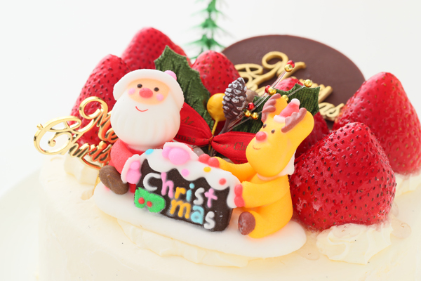 クリスマスレインボーケーキ6号サイズ クリスマスケーキ 誕生日ケーキ バースデーケーキ お菓子工房アントレ Solga Sowa Pl