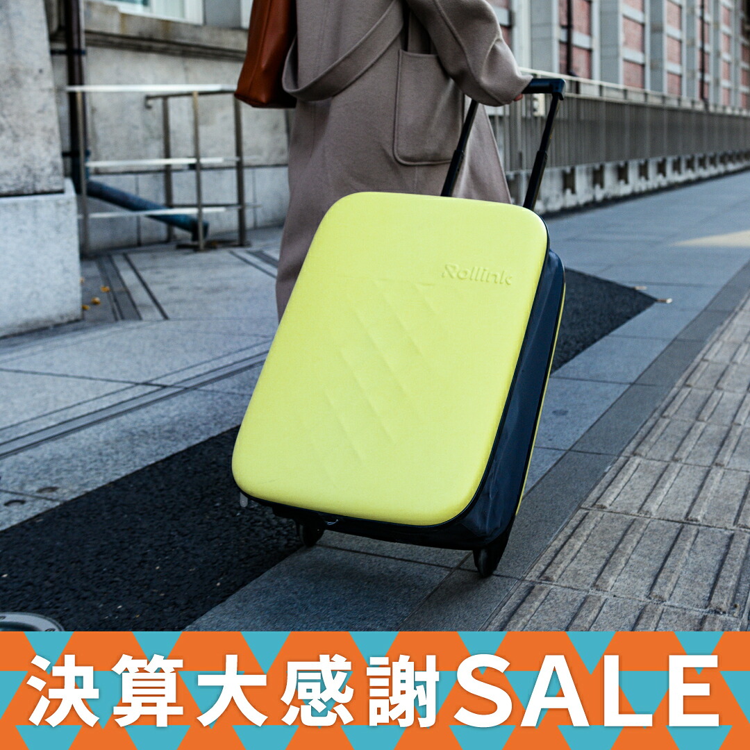 極美品 Felisi フェリージ 旅行バック　出張　キャリーケース　希少　高級 Felisi フェリージ ソフト キャリーバッグ キャリーケース 機内