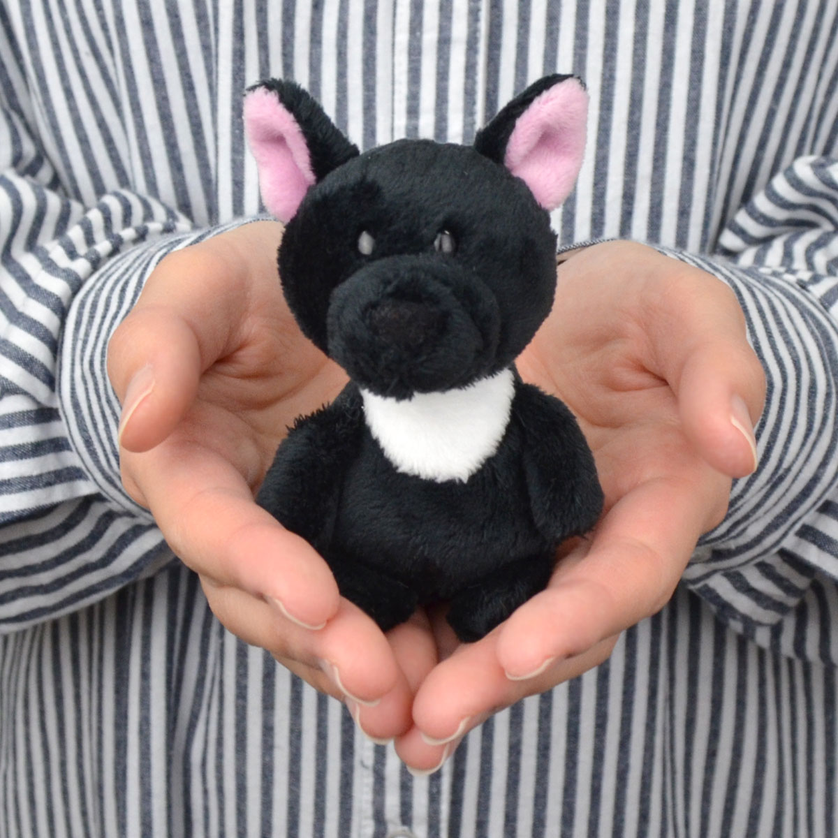 楽天市場】【日本正規代理店】NICI(ニキ) ラブキャット キュート