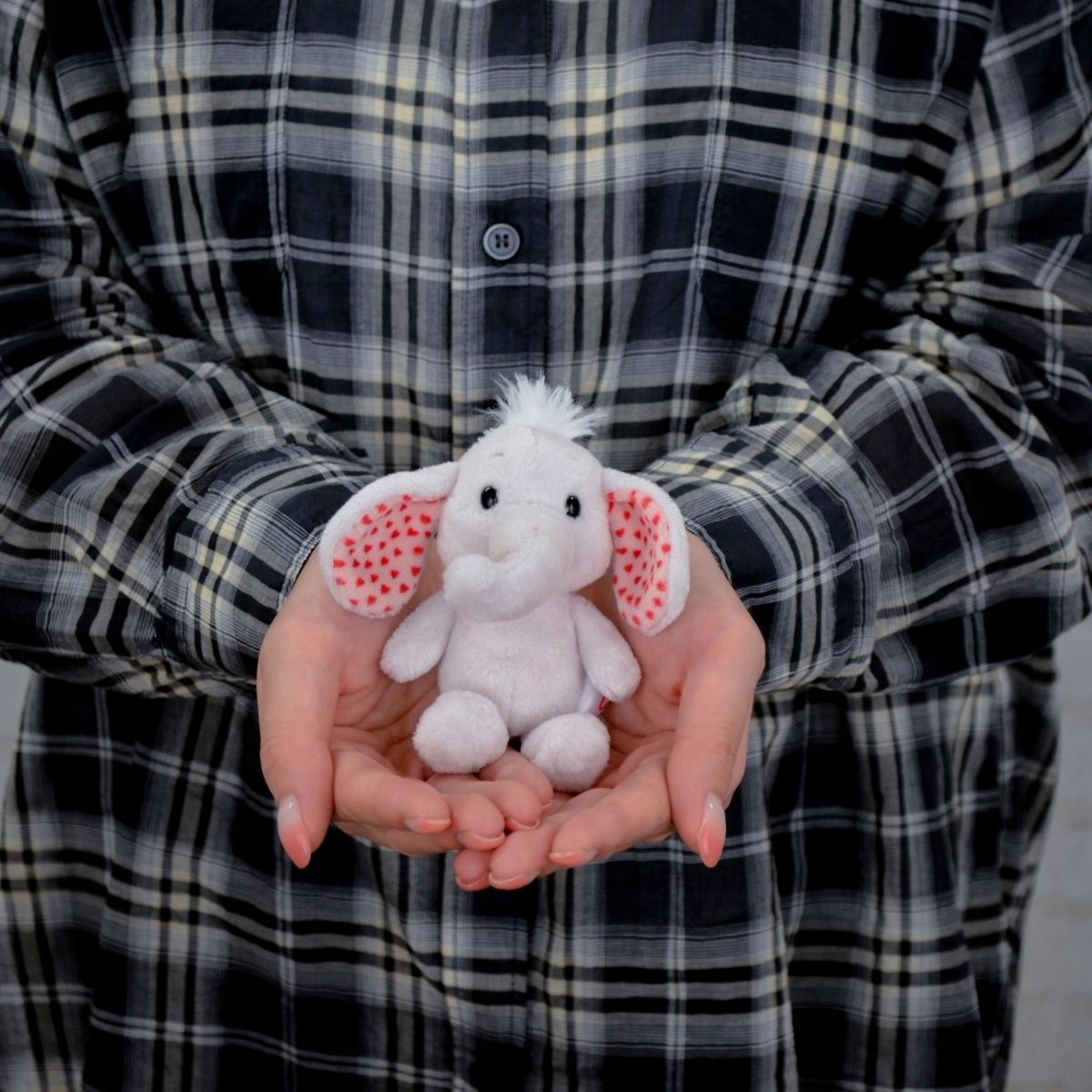 楽天市場】【日本正規代理店】NICI(ニキ) 【2024年8月新商品