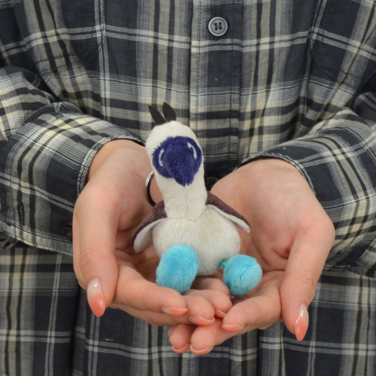 楽天市場】【日本正規代理店】NICI(ニキ) ぬいぐるみ ハチドリ