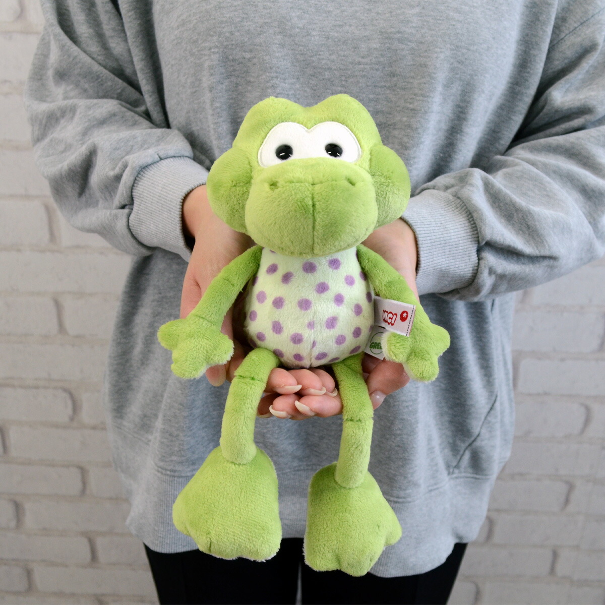 ぽんたん。　【フロッグ ニコ】25cm、35cm、50cm 3点セット 楽天市場】フロッグ ニコの通販