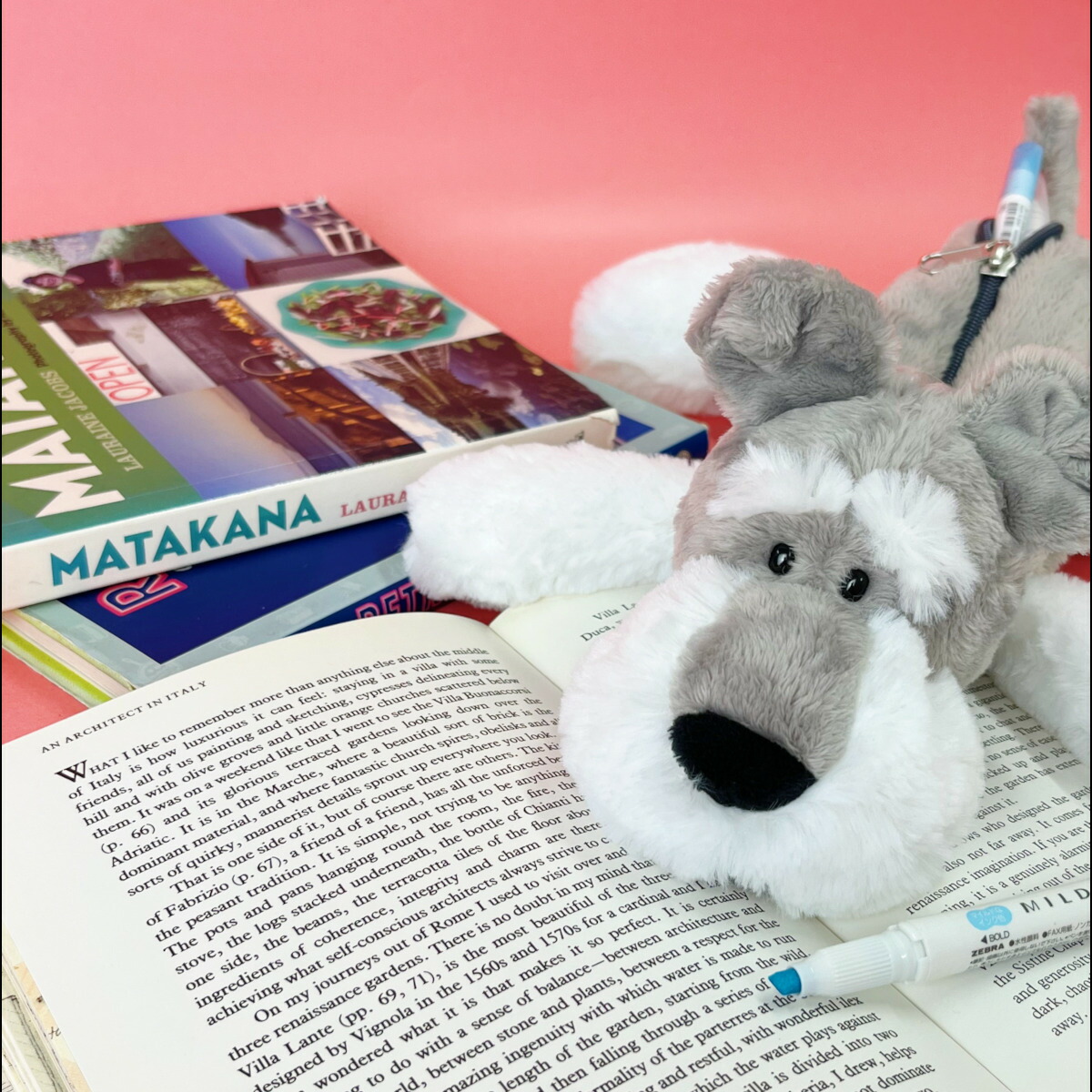 楽天市場】【日本正規代理店】ぬいぐるみ シュナウザー 2024