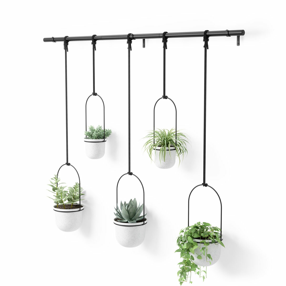 アンブラ ハンギングプランター ハンギングバスケット 植物 多肉植物 屋外 ガーデニング トリフローラ ポット 屋内 サボテン 5カップ Entrex 吊り鉢 アントレックス ラージ ベランダ インテリア ハーブ おしゃれ Umbra 吊り下げ プラントハンガー ホワイト 観葉植物 壁掛け アンブラ ハンギングプランター ハンギングバスケット 植物 多肉植物 屋外 ガーデニング トリフローラ ポット 屋内 サボテン 5カップ Entrex 吊り鉢 アントレックス ラージ ベランダ インテリア ハーブ おしゃれ Umbra 吊り下げ プラントハンガー ホワイト 観葉植物 壁掛け