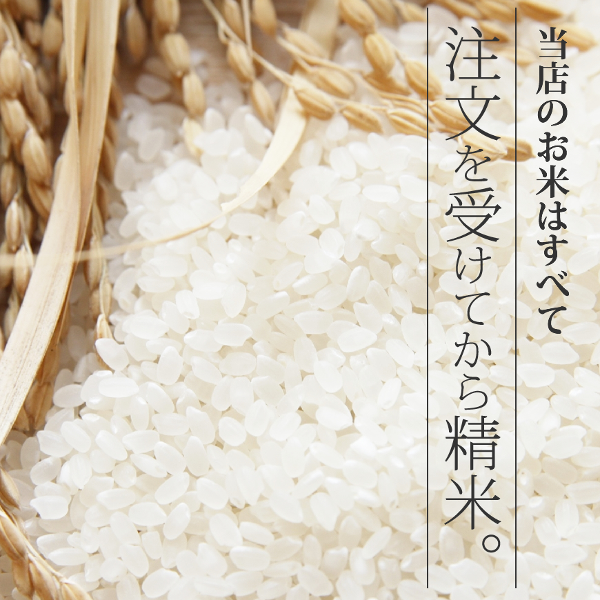 福岡県産米 ひのひかり 玄米25kg お米 厳選ブランド米 通販