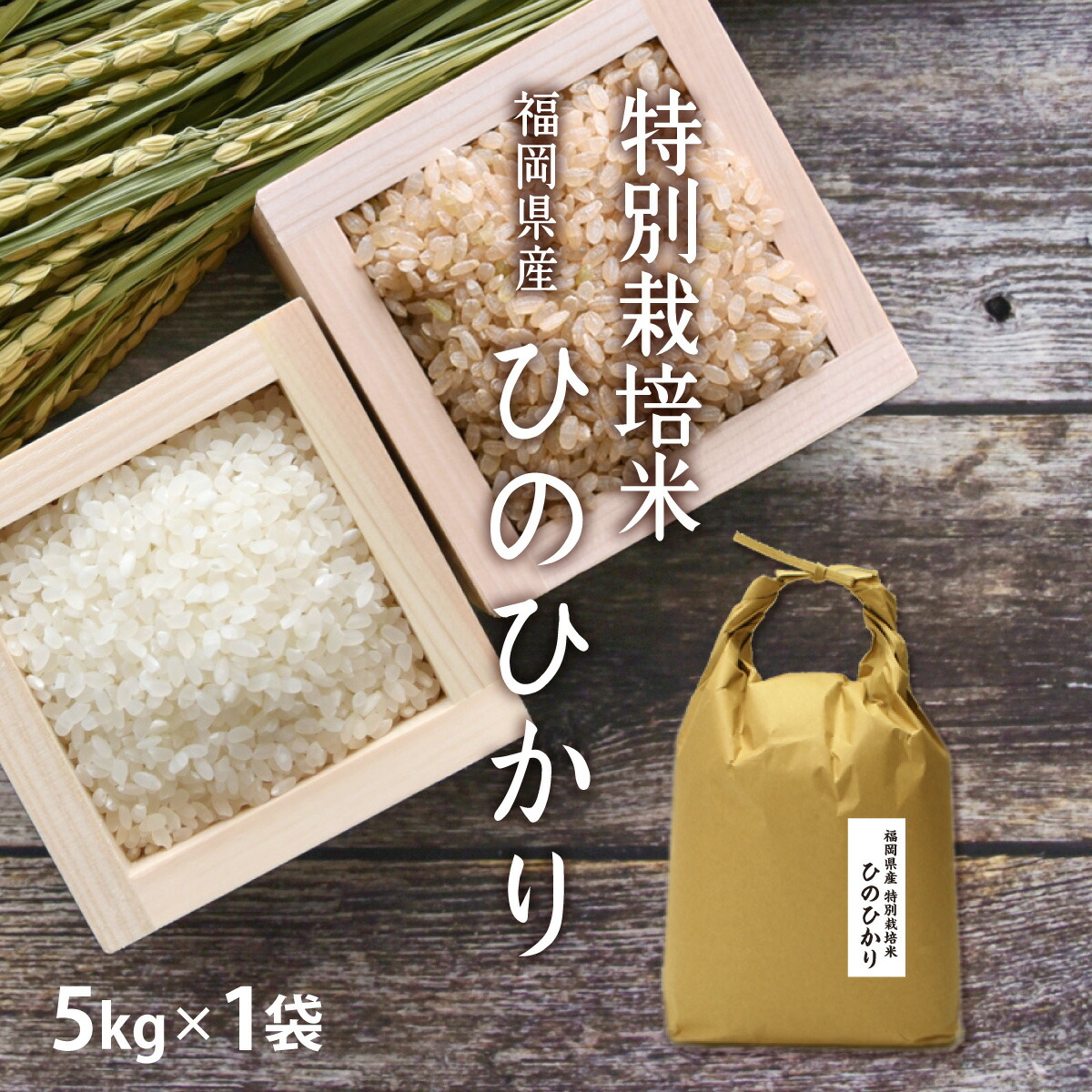 【新米】特別栽培米 低農薬・低化学肥料栽培の ひのひかり 5kg[5kg×1] 令和7年 福岡県産 選べる分づき [玄米 分づき米 胚芽米 白米]単一原料米 の 特栽米 を 出荷日精米 お祝い 母の日 ギフト 景品 贈り物に