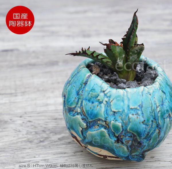 楽天市場】陶器鉢 植木鉢 ミニポット 底穴あり 丸型 フォレスト