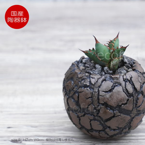 営業デコジャリ 500グラム 化粧石 黒 観葉植物 ダークブラック 多肉植物 48 植物