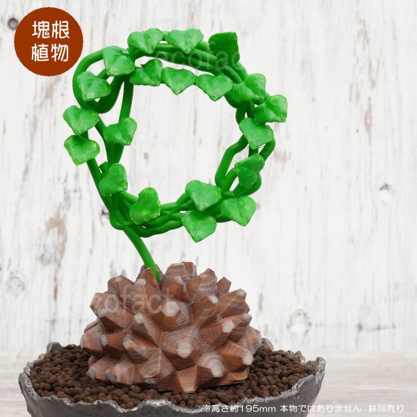 楽天市場】フェイクグリーン 3D フィギュア 亀甲竜ハート型 Mサイズ
