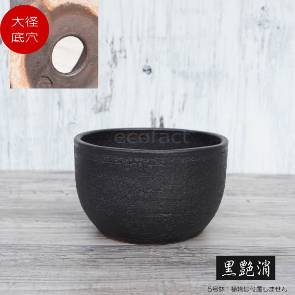 楽天市場】陶器鉢 植木鉢 5号 深丸型 金彩 ゴールド/ブラック おしゃれ