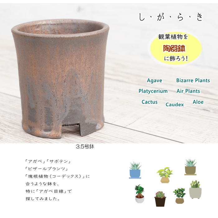 陶器鉢 植木鉢 3 5号 筒型 金彩 ゴールド ブラック おしゃれ プランター 園芸鉢 かみ山陶器 信楽焼 観葉植物 アガベ サボテン ビザールプランツ 塊根植物 コーデックス 多肉植物 ポット Maisons Coudrelle Fr