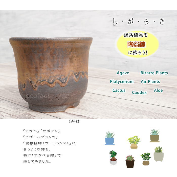 Shop R10s Jp Eotona Cabinet Gardening Pot