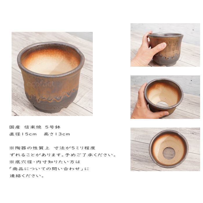 陶器鉢 植木鉢 5号 中深型 金彩 ゴールド ブラック おしゃれ プランター 園芸鉢 信楽焼 アガベ サボテン ビザールプランツ 塊根植物 コーデックス 多肉植物 ポット Aplusfinance Blog Com