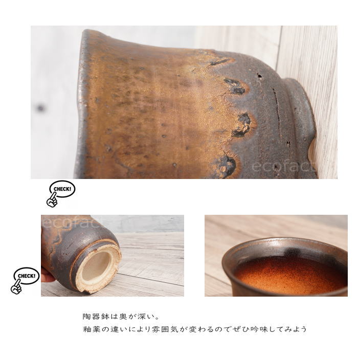 陶器鉢 植木鉢 5号 中深型 金彩 ゴールド ブラック おしゃれ プランター 園芸鉢 信楽焼 アガベ サボテン ビザールプランツ 塊根植物 コーデックス 多肉植物 ポット Aplusfinance Blog Com