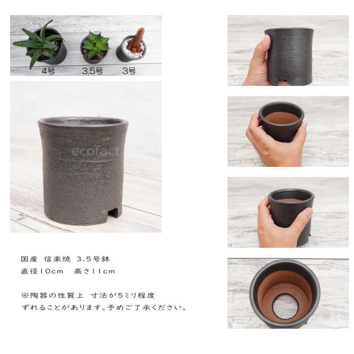 磁器野晒し 植木鉢 3 5サイズ 銃様式 麗ら消し 仕置者 ネグロ 小粋 プランター 園芸鉢 かみ投機陶器 信楽焼 観葉植物 アガベ カクタス ビザールプランツ 塊根植物 コーデックス 多肉植物 ポット Hotjobsafrica Org