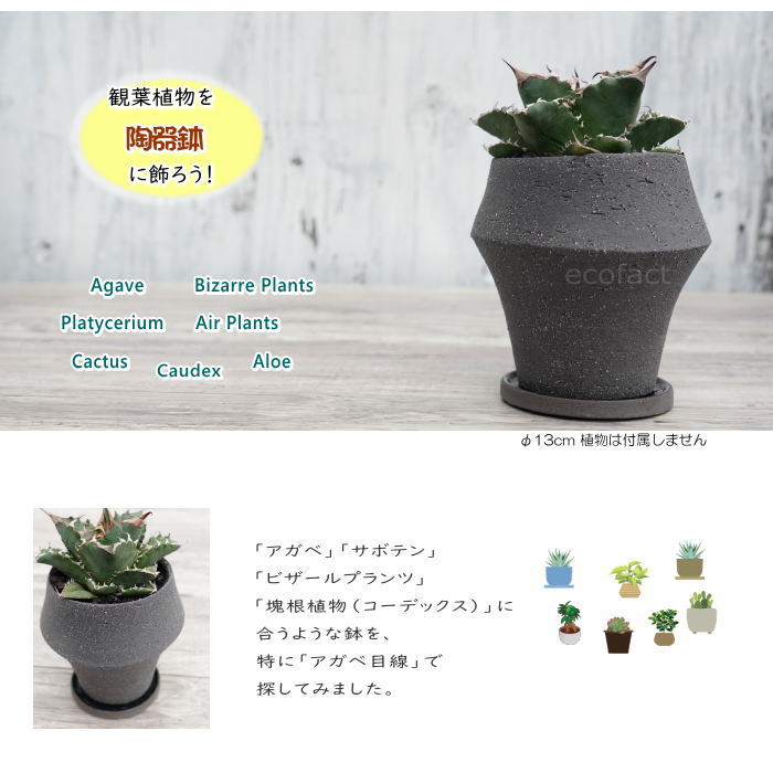 陶器鉢 植木鉢 ミニポット 底穴あり ドラムハイ グレイ 13cm おしゃれ かわいい プランター 園芸鉢 観葉植物 アガベ サボテン ビザールプランツ 塊根植物 コーデックス 多肉植物 Marcsdesign Com