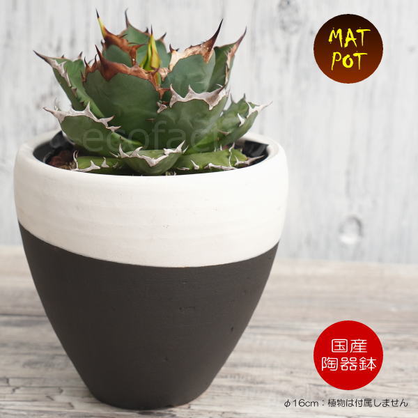 植木鉢 おしゃれ 陶器鉢 4.5号 室内 底穴ありMATPOT マットポット ホワイト/ブラック 艶消し白黒 φ16cm かみ山陶器 信楽焼 プランター 園芸鉢 アガベ サボテン 多肉植物 塊根植物 コーデックス